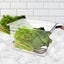 SOGA 200mm Clear Gastronorm GN Pan 1/2 Food Tray Storage Bundle of 6 Carousel 2