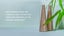 SHOOAWAY - BAMBOO - KEEP FLIES AWAY FROM YOUR FOOD Carousel 3