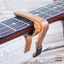 Acoustic Electric Guitar Capo Carousel 2