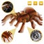 Loading Image 1 of 6