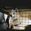 Dog Car Cargo Barrier Divider Fence Gate 2010802 Carousel 11