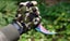 Tactical Karambit Knife Fishing Survival Camping 3642502 Carousel 6