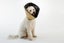 COMFY CONE XTRA LARGE 30CM NECK TO SNOUT / NECK 46CM to 58CM Carousel 5
