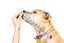 COMFY CONE XTRA LARGE 30CM NECK TO SNOUT / NECK 46CM to 58CM Carousel 9