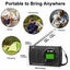 Digital AM FM Clock Radio Loud Speaker Carousel 3