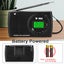 Digital AM FM Clock Radio Loud Speaker Carousel 4