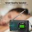 Digital AM FM Clock Radio Loud Speaker Carousel 8