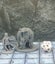 Monster Miniatures Set Brite Large Dungeons and Dragons dice4dungeons Brite Carousel 3