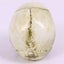 Skull Head Human Resin Skeleton Detached Jaw 2013703 Carousel 3