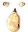 Bird Feeder Garden Ornament Old Man Face 2032208 Carousel 9