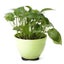 Plant Pot Feet Flower Pots Riser Mats Pads 3641802 Carousel 3