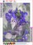 Diamond Painting Art Kit i1847PW0 Carousel 2