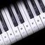 Piano Stickers for 37/49/54/61/88 Key Keyboards i2273BK0 Carousel 5