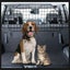 Dog Car Cargo Barrier Divider Fence Gate 2010802 Carousel 1