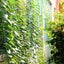 Plant Trellis Netting 5.9FT x 8.85FT Carousel 11