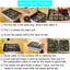 Gardening Propagation Starter Set: 12-Hole Plant Seeds Grow Boxes Carousel 5