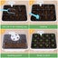 Gardening Propagation Starter Set: 12-Hole Plant Seeds Grow Boxes Carousel 8