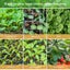 Gardening Propagation Starter Set: 12-Hole Plant Seeds Grow Boxes Carousel 9