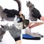 Grooming Gloves Dog Hair Gloves Animal, Horse, Rabbit Massage, Shower, Bath Brus Carousel 4