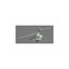 Loading Image 1 of 1