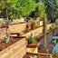 PINE RETAINING TIMBER - TG&V 180 x 42mm H4 - 85m - TS7745 Carousel 16