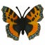 CollectA Tortoiseshell Butterfly Carousel 1