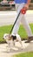 PUGGA Retractable Cord Dog Lead 8 Metre Black 430G | TOUCHANDCATCH NZ Carousel 2