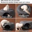 Cat Tunnel Bed 2036003 Carousel 8