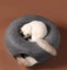 Cat Tunnel Bed 2036003 Carousel 11