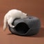 Cat Tunnel Bed 2036003 Carousel 12