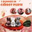 Easter Decor Hide-and-Seek Bunny Bag Pouch Carousel 2