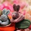 Easter Decor Hide-and-Seek Bunny Bag Pouch Carousel 5
