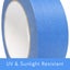 TAPE Carousel 3