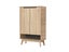 SHOE CABINET Carousel 7