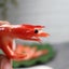 6PCS Simulation Shrimp Fake Food Model Shrimp Shooting Prop Photo Props Carousel 4