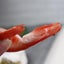 6PCS Simulation Shrimp Fake Food Model Shrimp Shooting Prop Photo Props Carousel 5