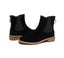AUSTRALIAN SHEPHERD(R) UGG Women Chelsea Zipper Ankle Daisy Carousel 6