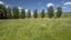 gallery view thumbnail