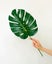 Artificial Monsteria Leaf - 85cm (1 Stem) Carousel 1