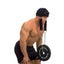 Head Neck Harness Weight Lifting Strength Exercise Strap 3631402 Carousel 1