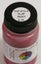 Tru-Color Paint TCP-812 FLAT BRUSHABLE RUST Carousel 2