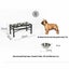 Brand New Dog Bowl Feeder Carousel 10