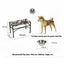 Brand New Dog Bowl Feeder Carousel 11