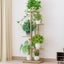 Plant Stand Flower Pot Display Rack 2025205 Carousel 1