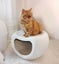 Cat Bed Pet Nest Dog House Kennel Modern Stool Chair 2036001 Carousel 8