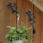 4pcs Cast Iron Gecko Hooks Key Holder Coat Hanger Wall Decor 3653403 Carousel 3