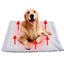 Cat Self Heating Pet Blanket Cat Dog Self Warming Mat Washable Rug 3643302 Carousel 6