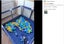 Brand New Portable Baby Playpen Fence Gate Barrier Play Gym Mat *Clearance* Carousel 7