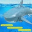 2.4G 4-channel Remote Control Waterproof Simulation Shark Carousel 4