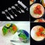 10pcs/set 3D Jelly Flower Art Tools Jelly Cake Gelatin Pudding Nozzle Set Carousel 5